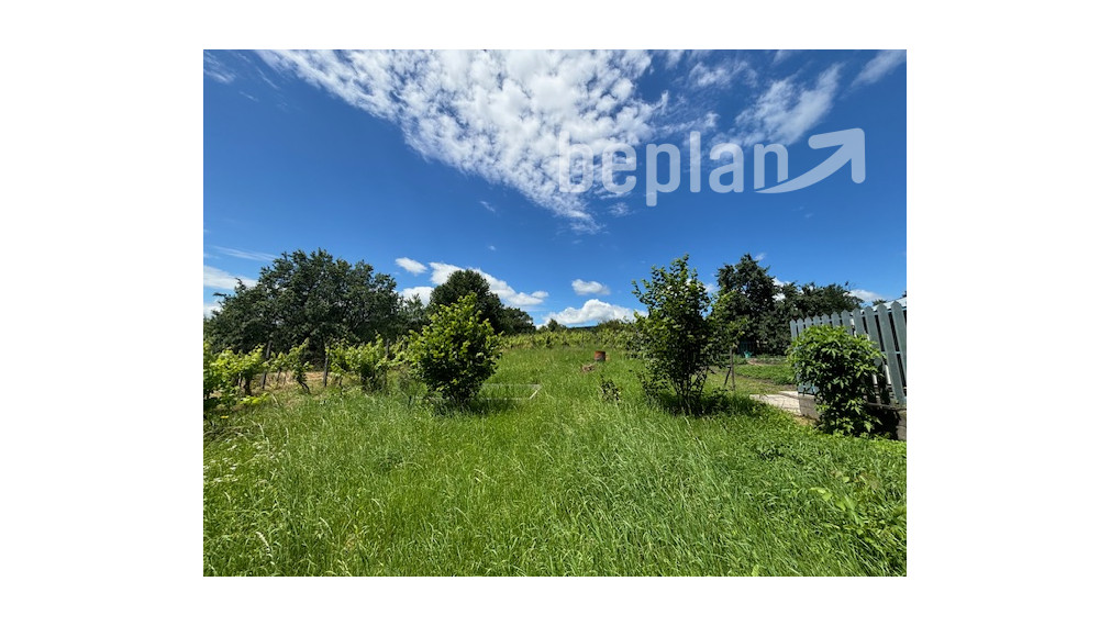 Rodinný dom s veľkorysým pozemkom.