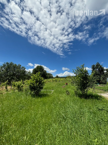 Rodinný dom s veľkorysým pozemkom.