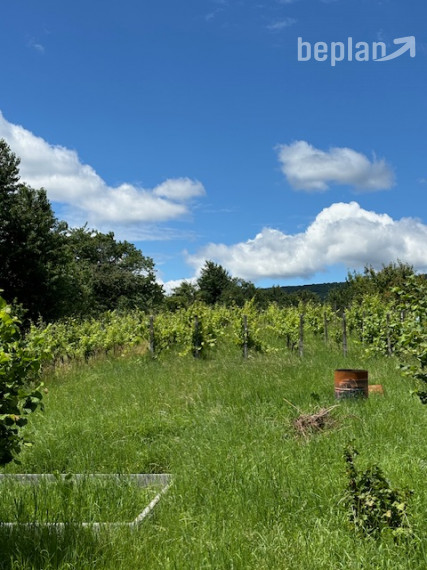 Rodinný dom s veľkorysým pozemkom.