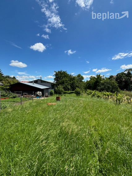 Rodinný dom s veľkorysým pozemkom.