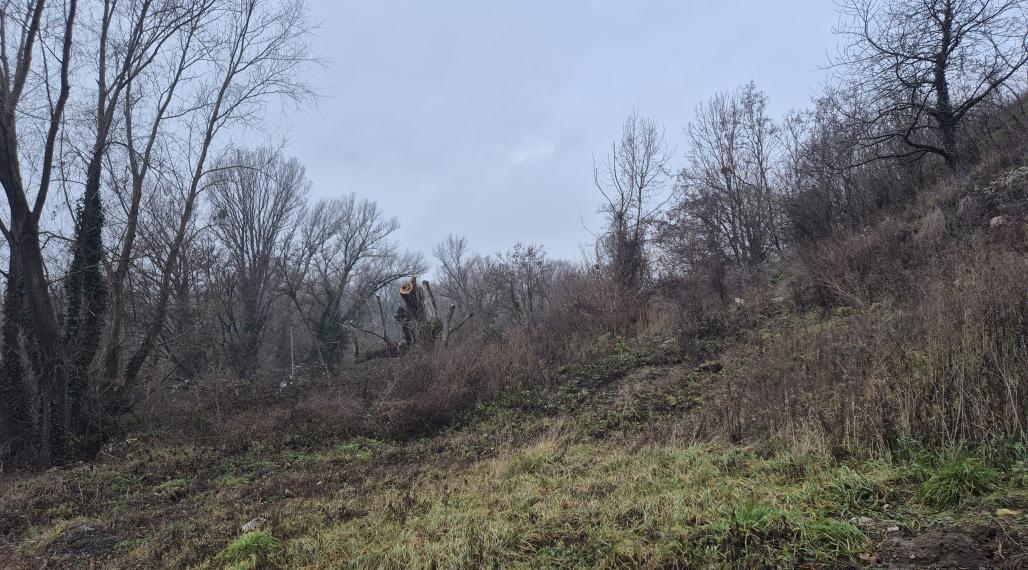 Na predaj stavebný pozemok na Dolnokorunskej ulici mestskej časti Devín v Bratislave